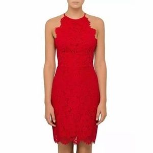 Lover the Label - Red lace dress NWT Size 6